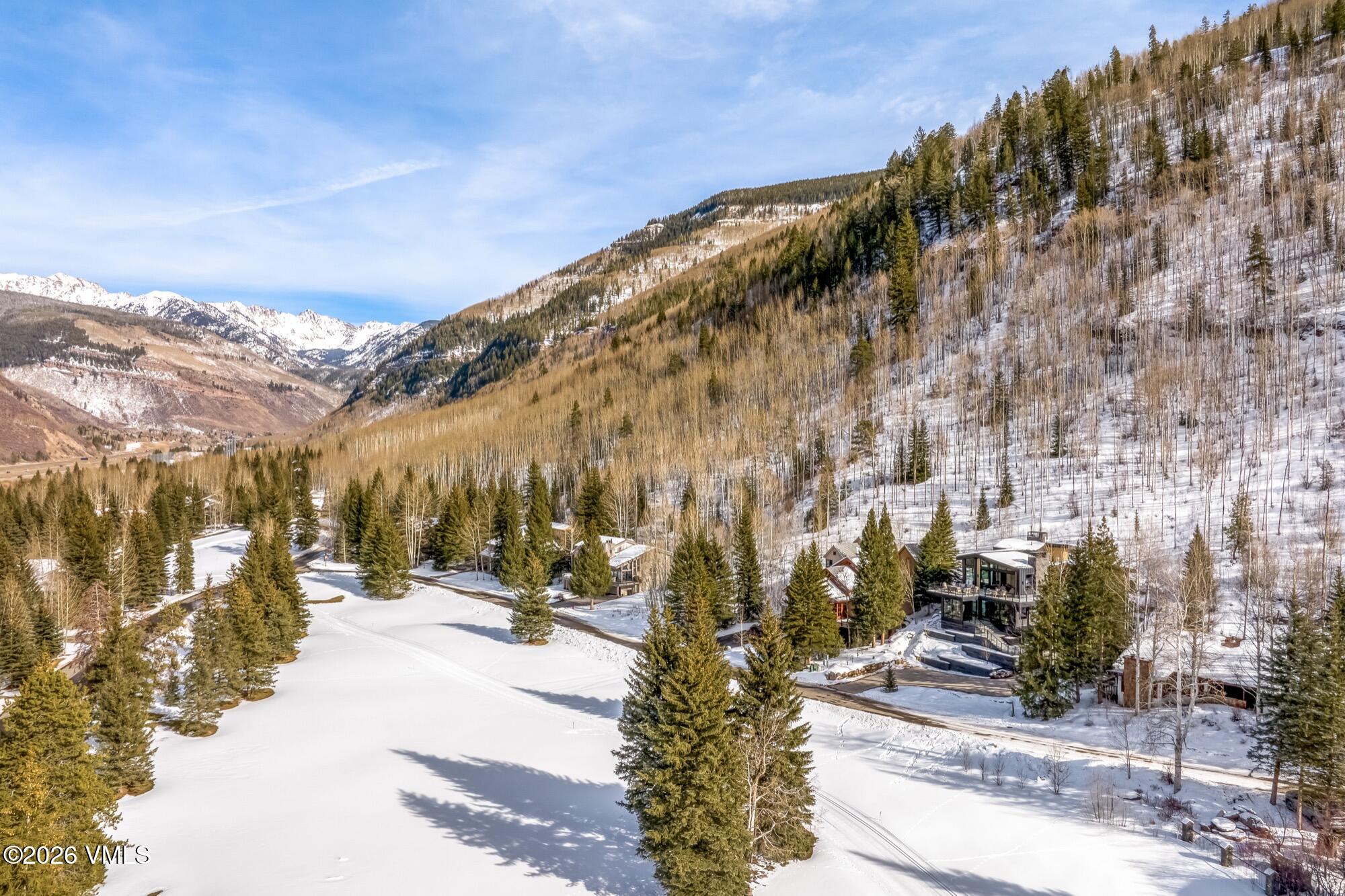 1150 Ptarmigan Road Vail, CO 81657 - Photo 6 of 71 1150 Ptarmigan Road 27