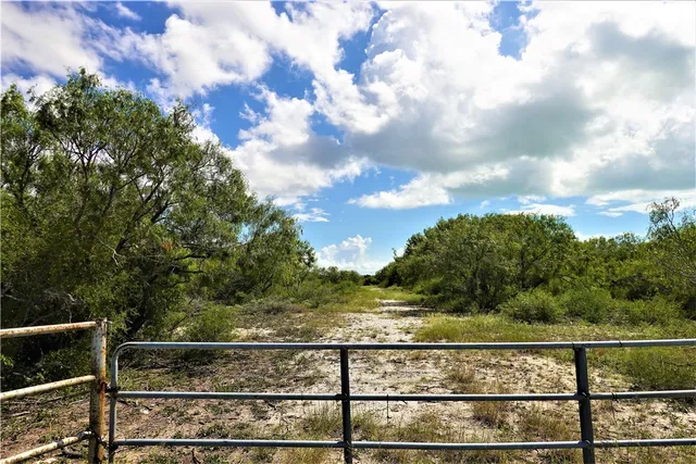 a view of a big yard with large trees