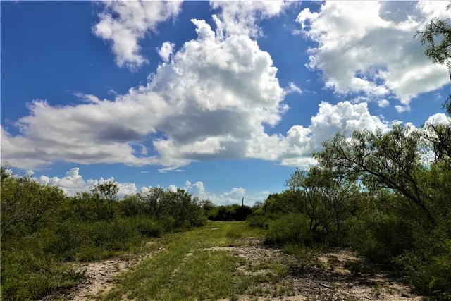 a view of a city with lots of green space