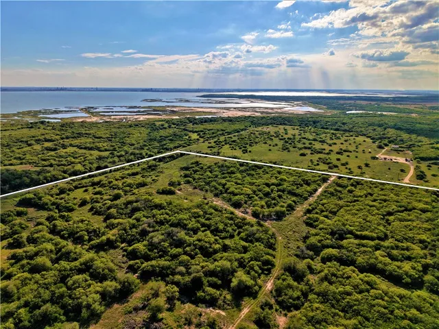 a view of a flower in a yard