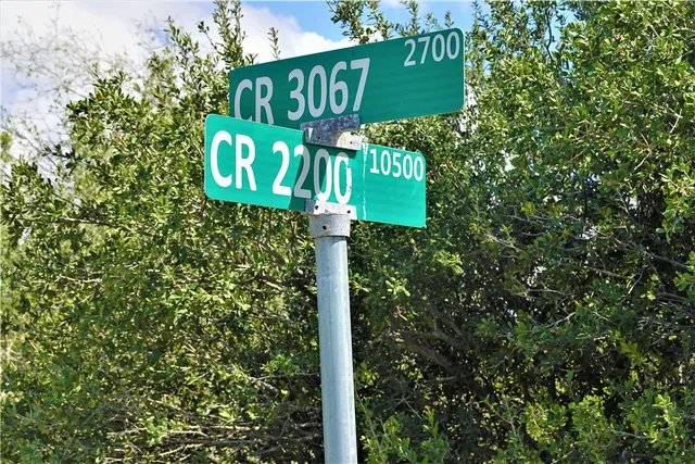 a view of a big yard with potted plants