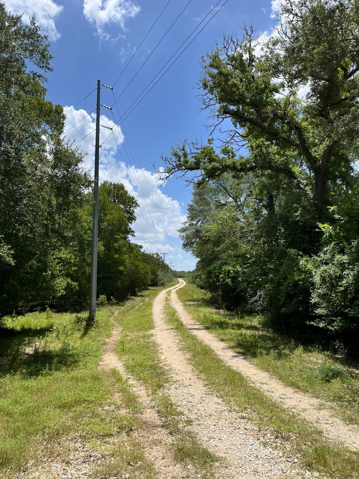 Tbd Tbd Fm-2237 Muldoon, TX 78949 - Photo 11 of 18 a view of backyard with green space