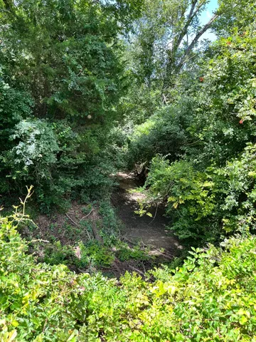 a view of lake with green space