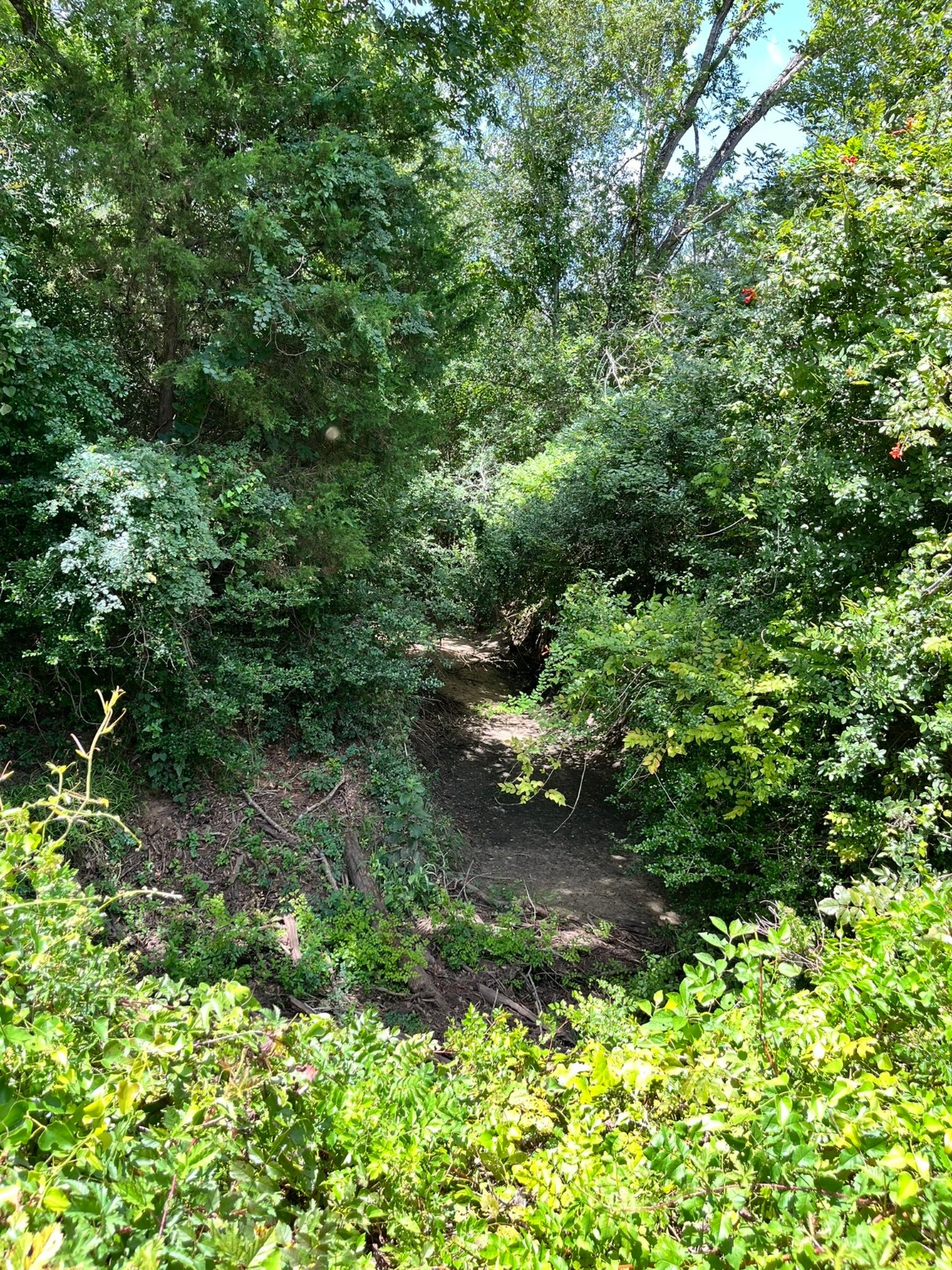 Tbd Tbd Fm-2237 Muldoon, TX 78949 - Photo 12 of 18 a view of a garden with plants