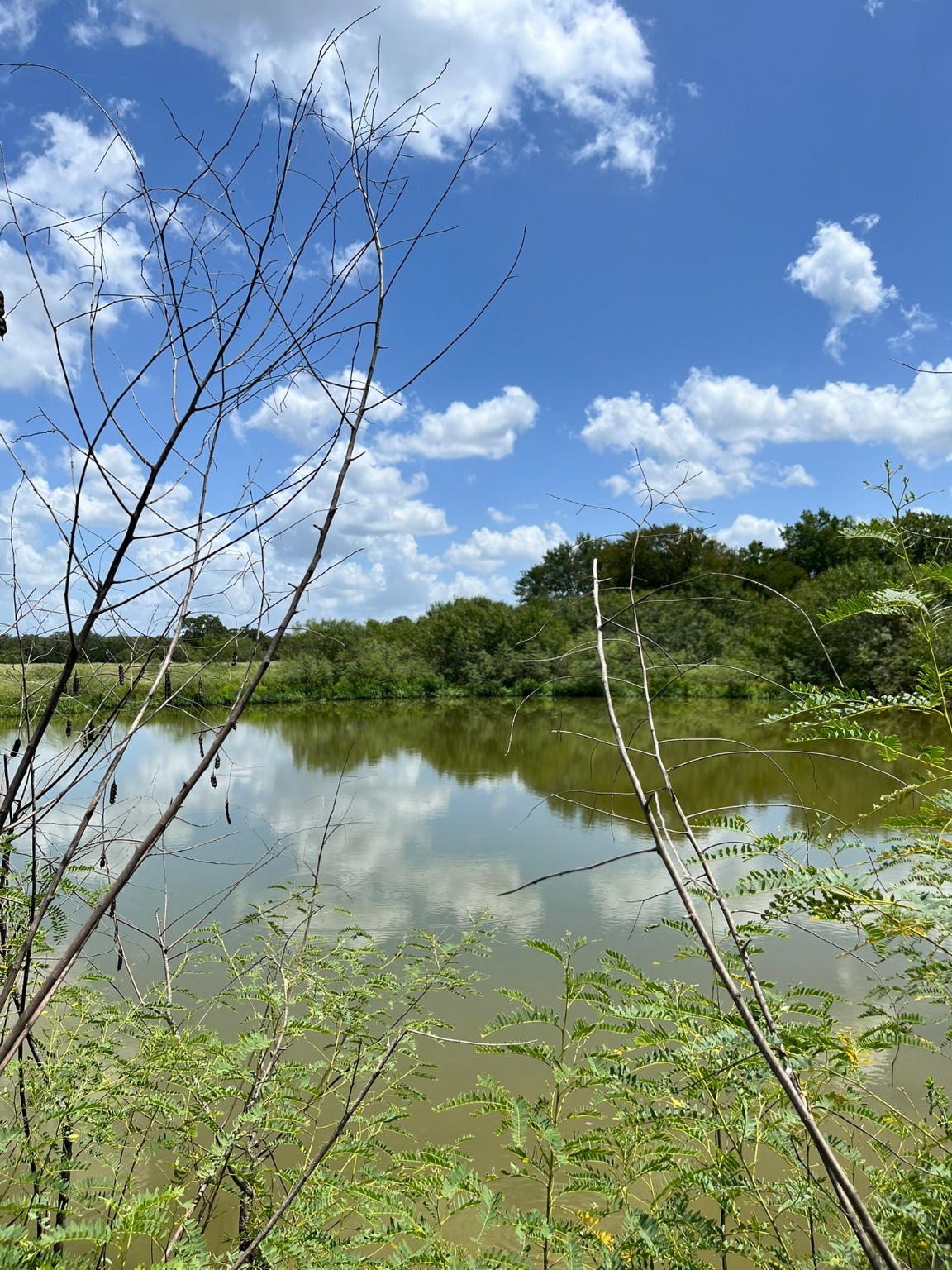 Tbd Tbd Fm-2237 Muldoon, TX 78949 - Photo 8 of 18 a view of a lake