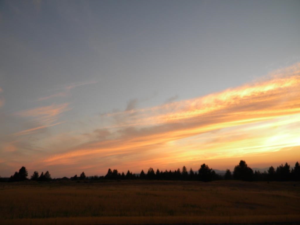 918 West Wild Rose Road Colbert, WA 99005 - Photo 1 of 29