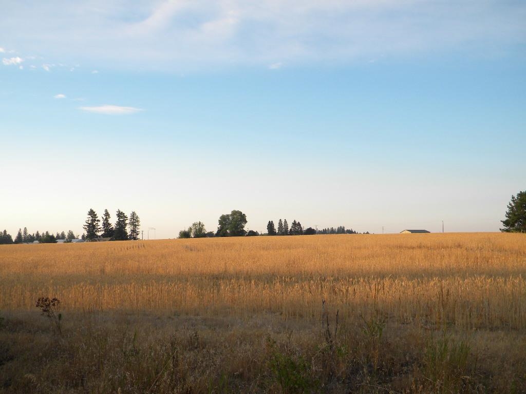 918 West Wild Rose Road Colbert, WA 99005 - Photo 12 of 29