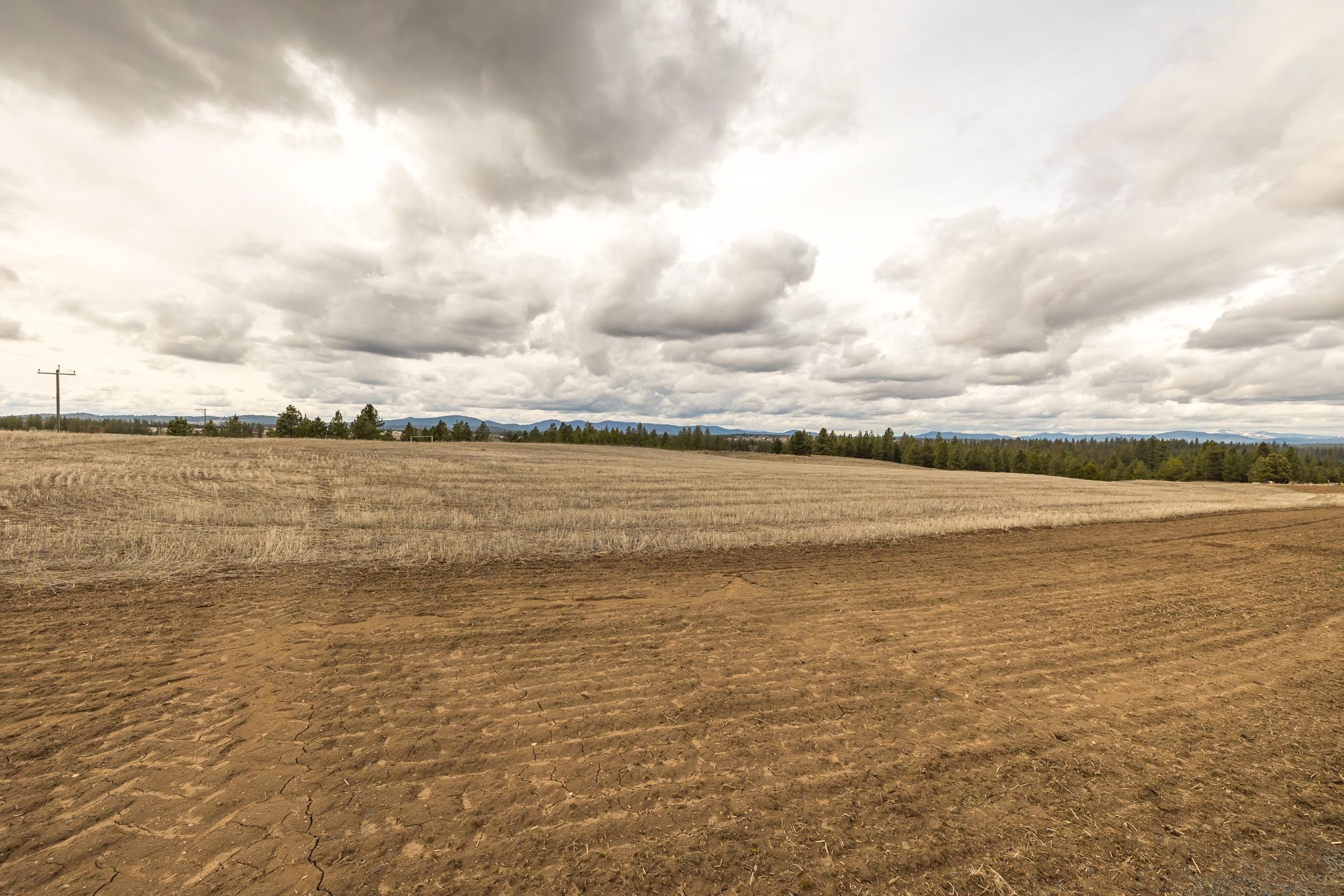 918 West Wild Rose Road Colbert, WA 99005 - Photo 14 of 29