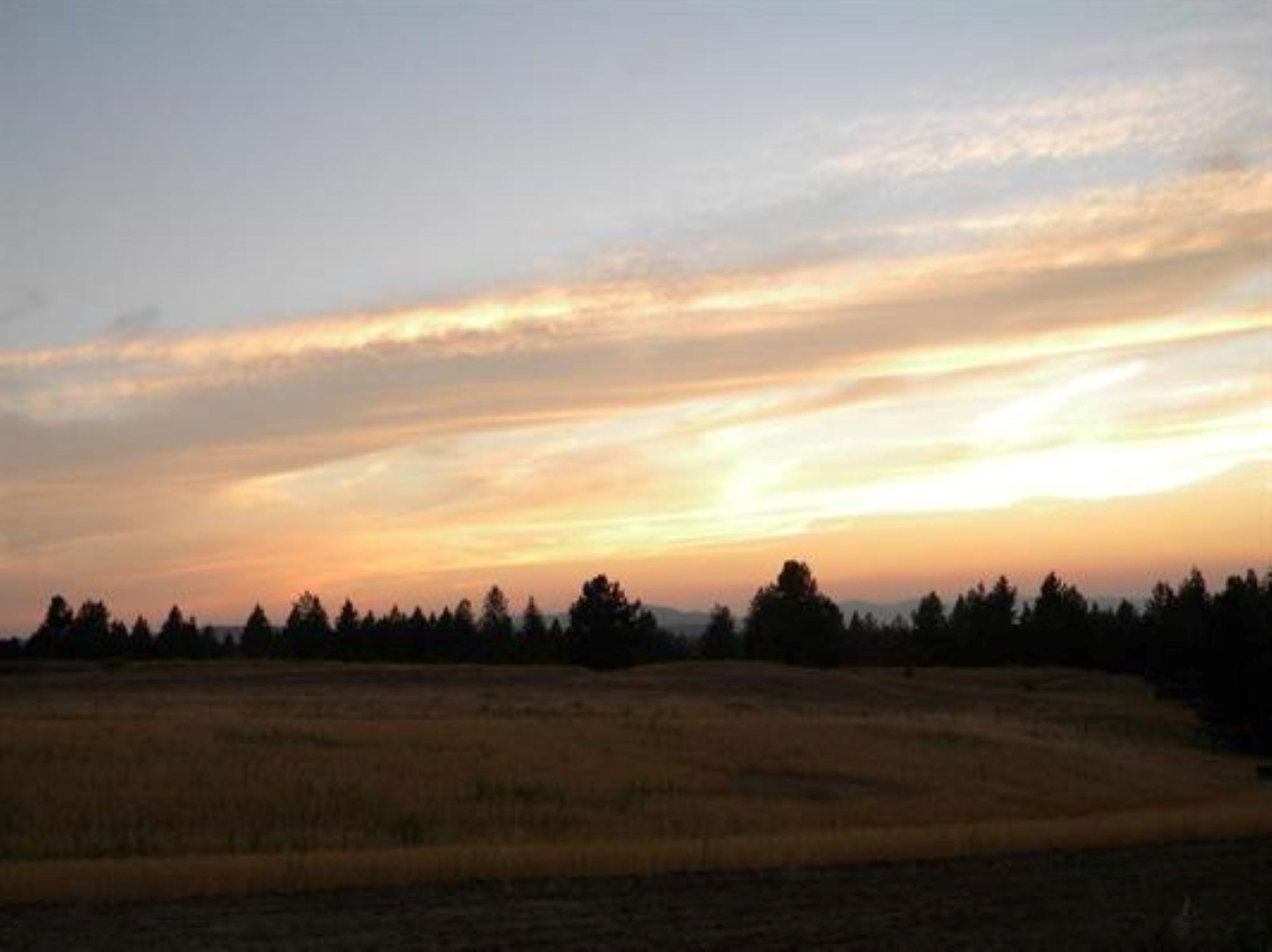 918 West Wild Rose Road Colbert, WA 99005 - Photo 17 of 29