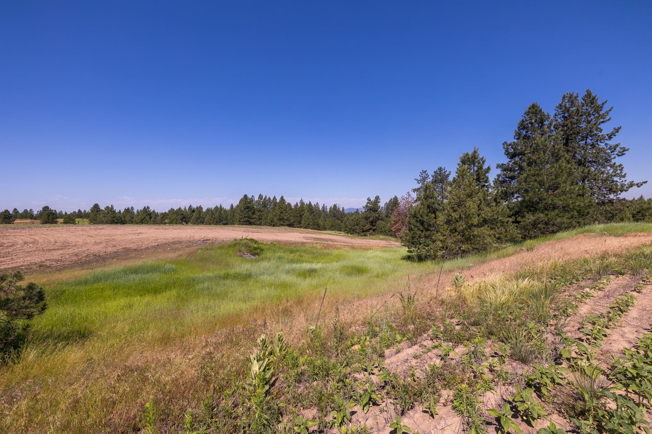 918 West Wild Rose Road Colbert, WA 99005 - Photo 23 of 29