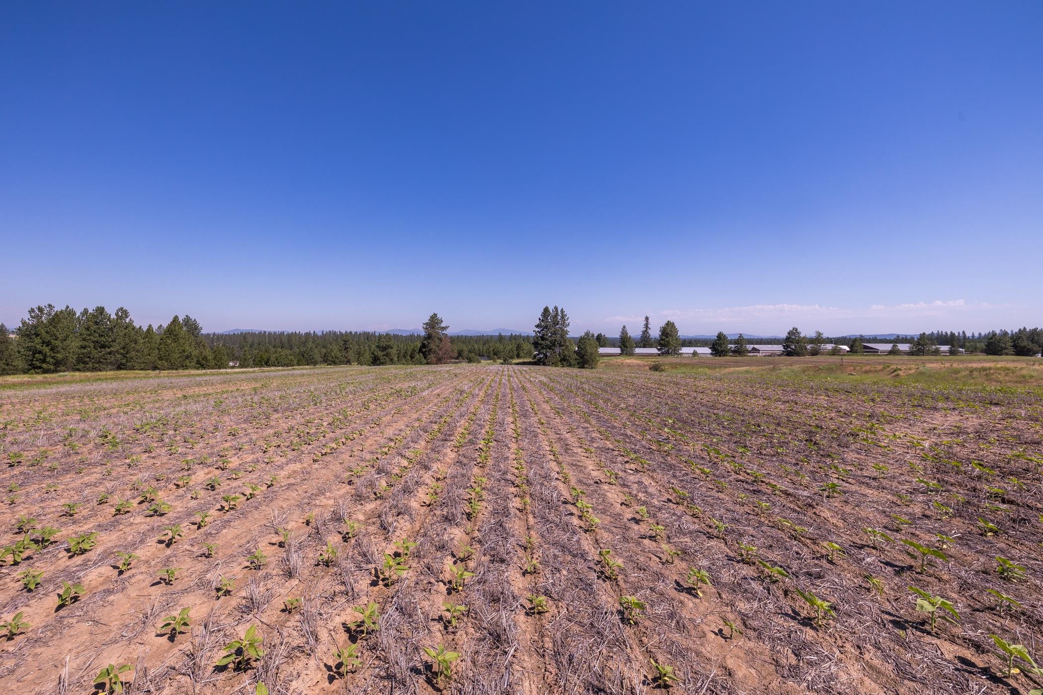 918 West Wild Rose Road Colbert, WA 99005 - Photo 26 of 29