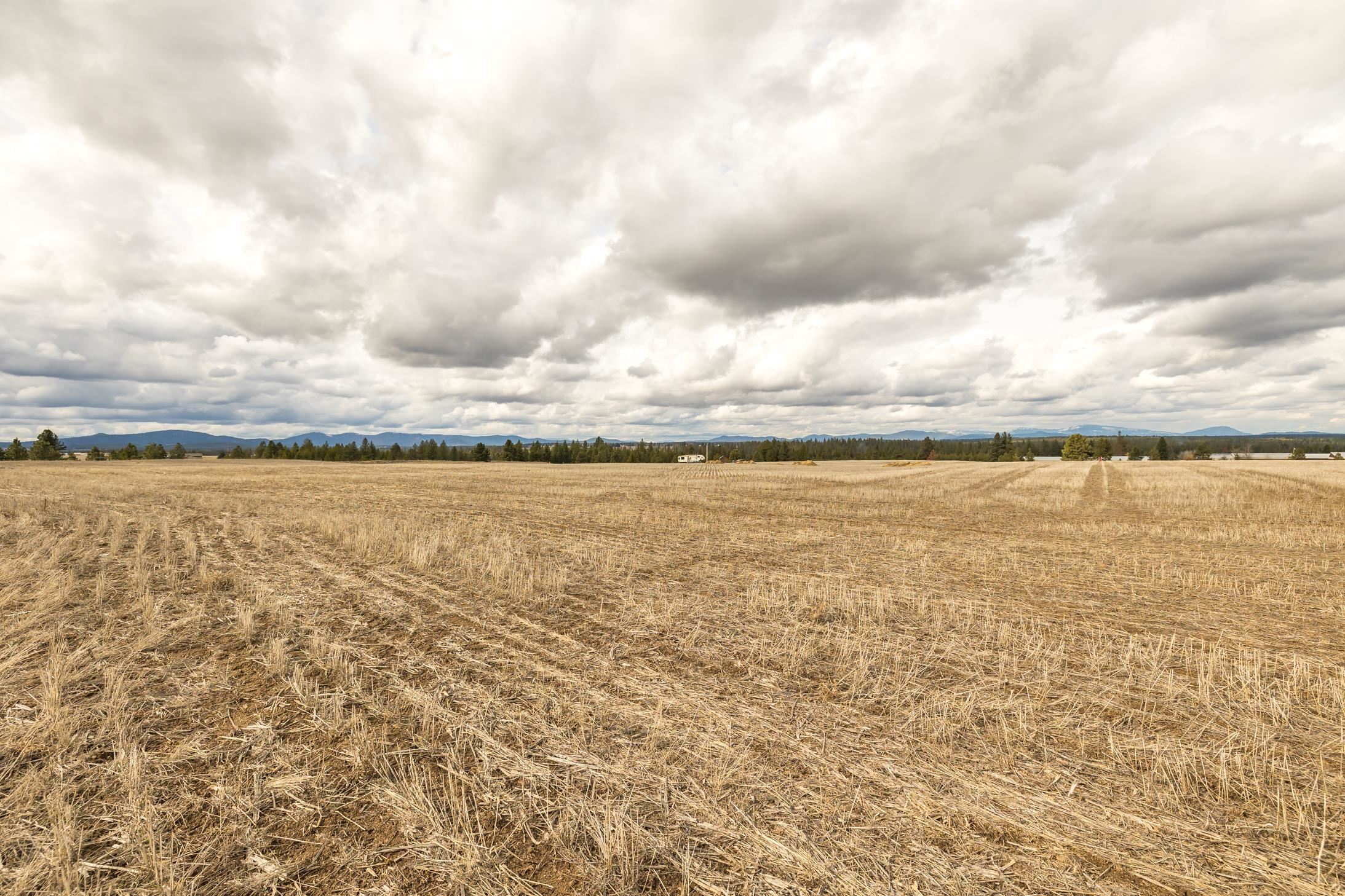 918 West Wild Rose Road Colbert, WA 99005 - Photo 9 of 29