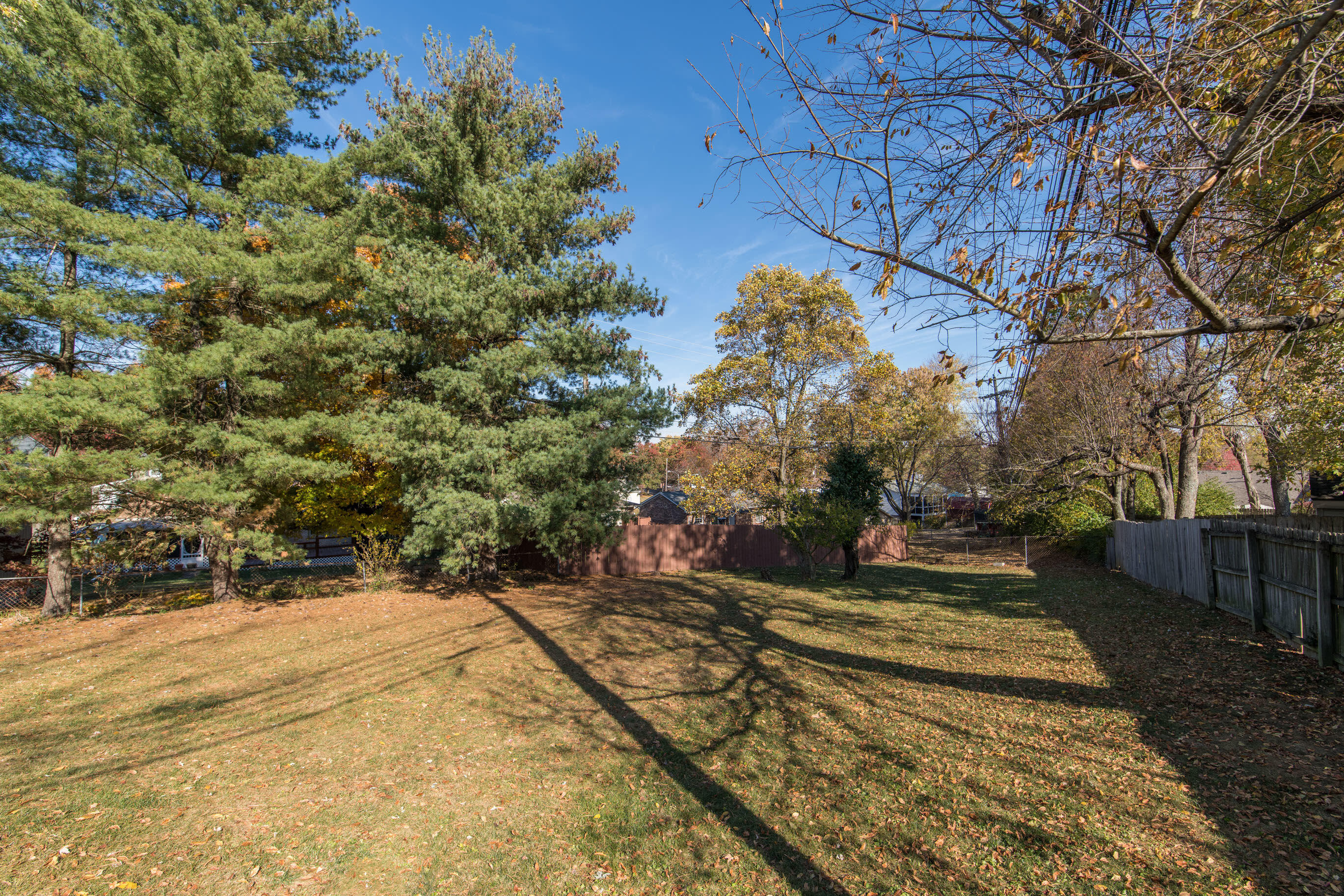 1017 Wedgewood Road Lexington, KY 40514 - Photo 27 of 28 20221024-1017-Wedgewood-Rd-TEMedia-039_w