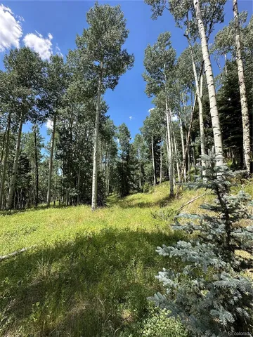 a view of outdoor space with trees all around