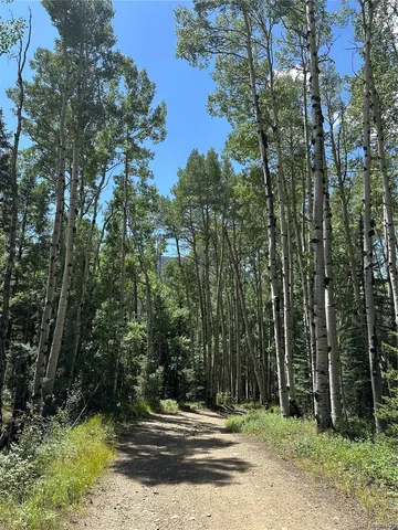 a view of outdoor space with trees