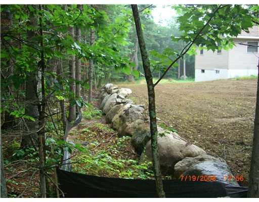 9 Blanchard Road Mount Desert, ME 04660 - Photo 18 of 22 Yard/Garden.