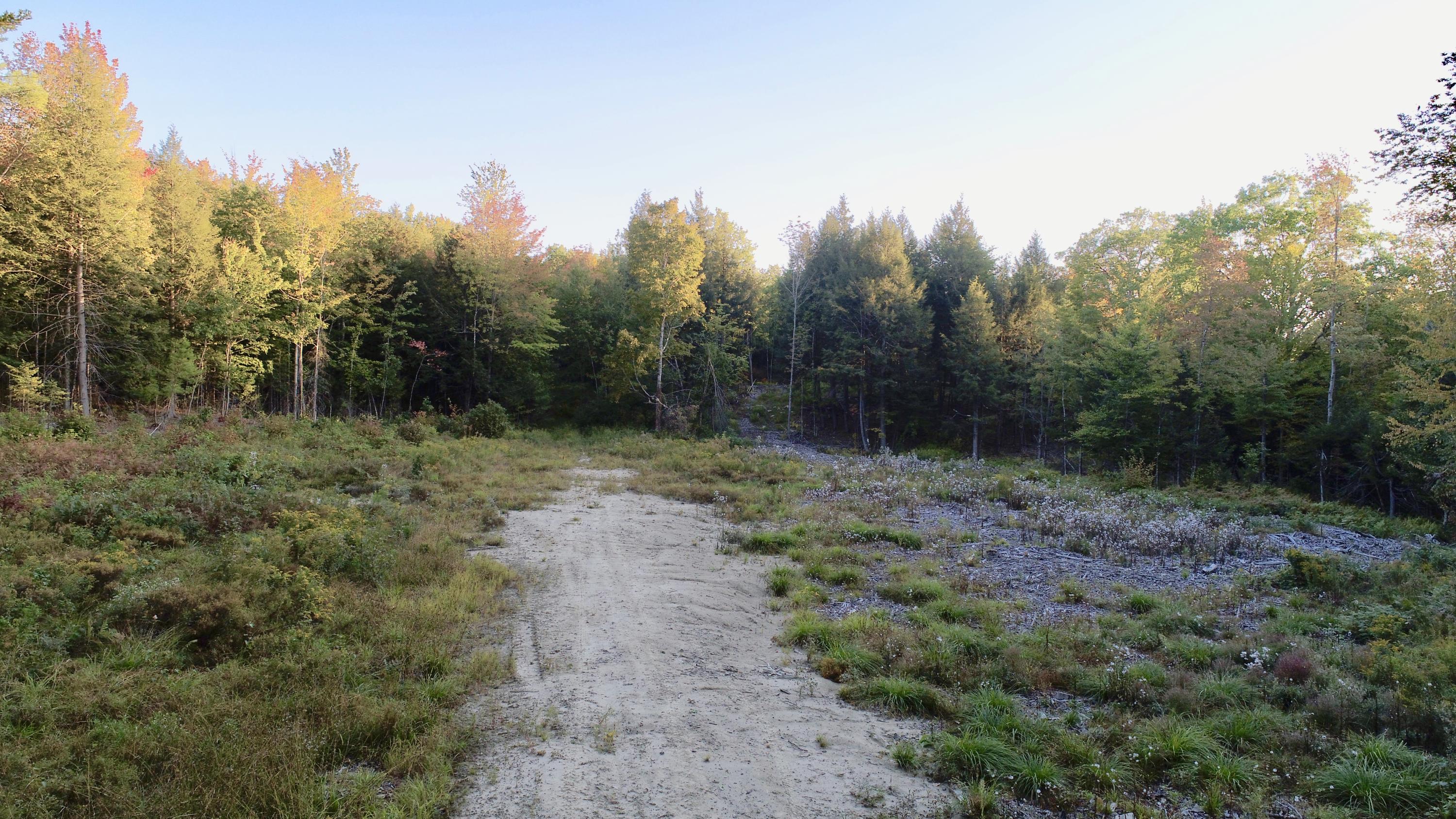 Tbd Beech Hill Road Mercer, ME 04957 - Photo 3 of 18 fullsizeoutput_4cf2