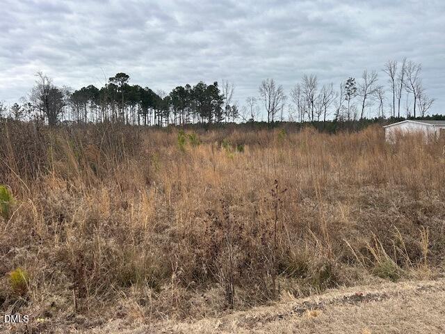 0 North McCullen Road Faison, NC 28341 - Photo 2 of 8 IMG_3049