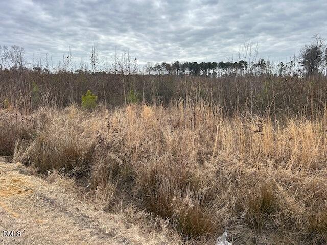 0 North McCullen Road Faison, NC 28341 - Photo 4 of 8 IMG_3051