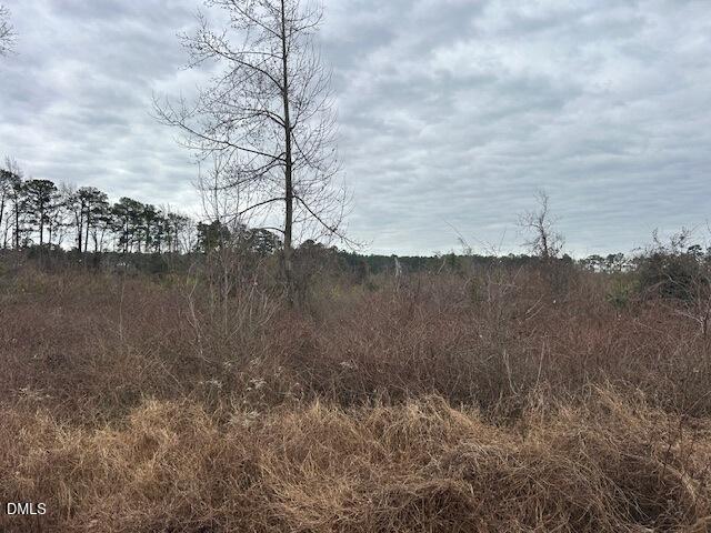 0 North McCullen Road Faison, NC 28341 - Photo 6 of 8 IMG_3053