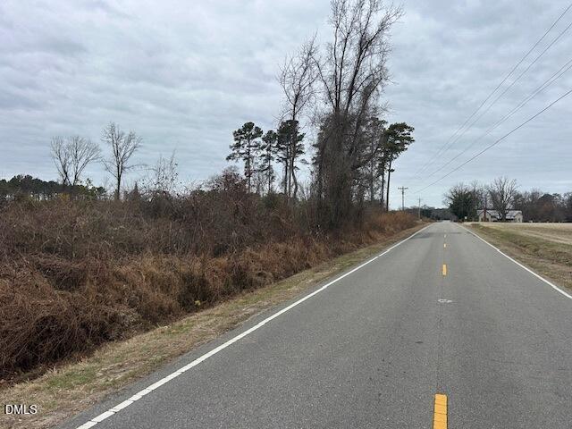 0 North McCullen Road Faison, NC 28341 - Photo 7 of 8 Street view 3