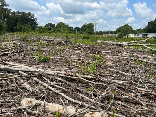 0 North McCullen Road Faison, NC 28341 - Photo 8 of 8 McCullen cut over timber photo