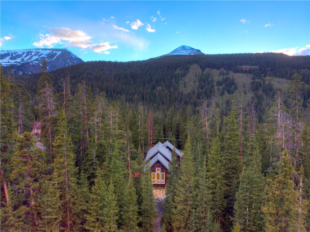 174 Rena Road Breckenridge, CO 80424 - Photo 10 of 32 Gallery Image 10