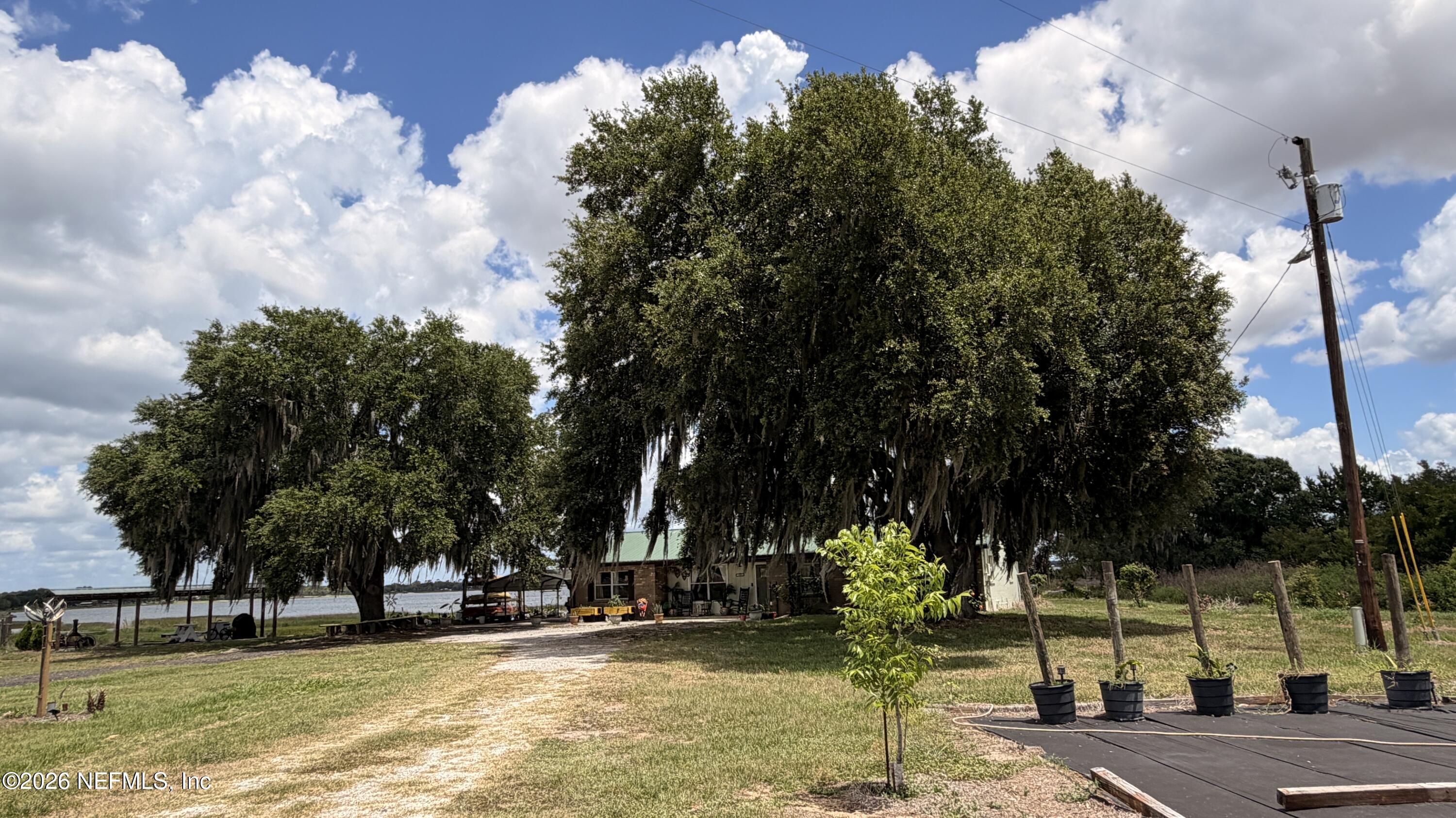 1302 Fort Meade Road Frostproof, FL 33843 - Photo 10 of 39 a view of a park with large trees