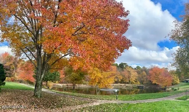 a view of a yard with large trees