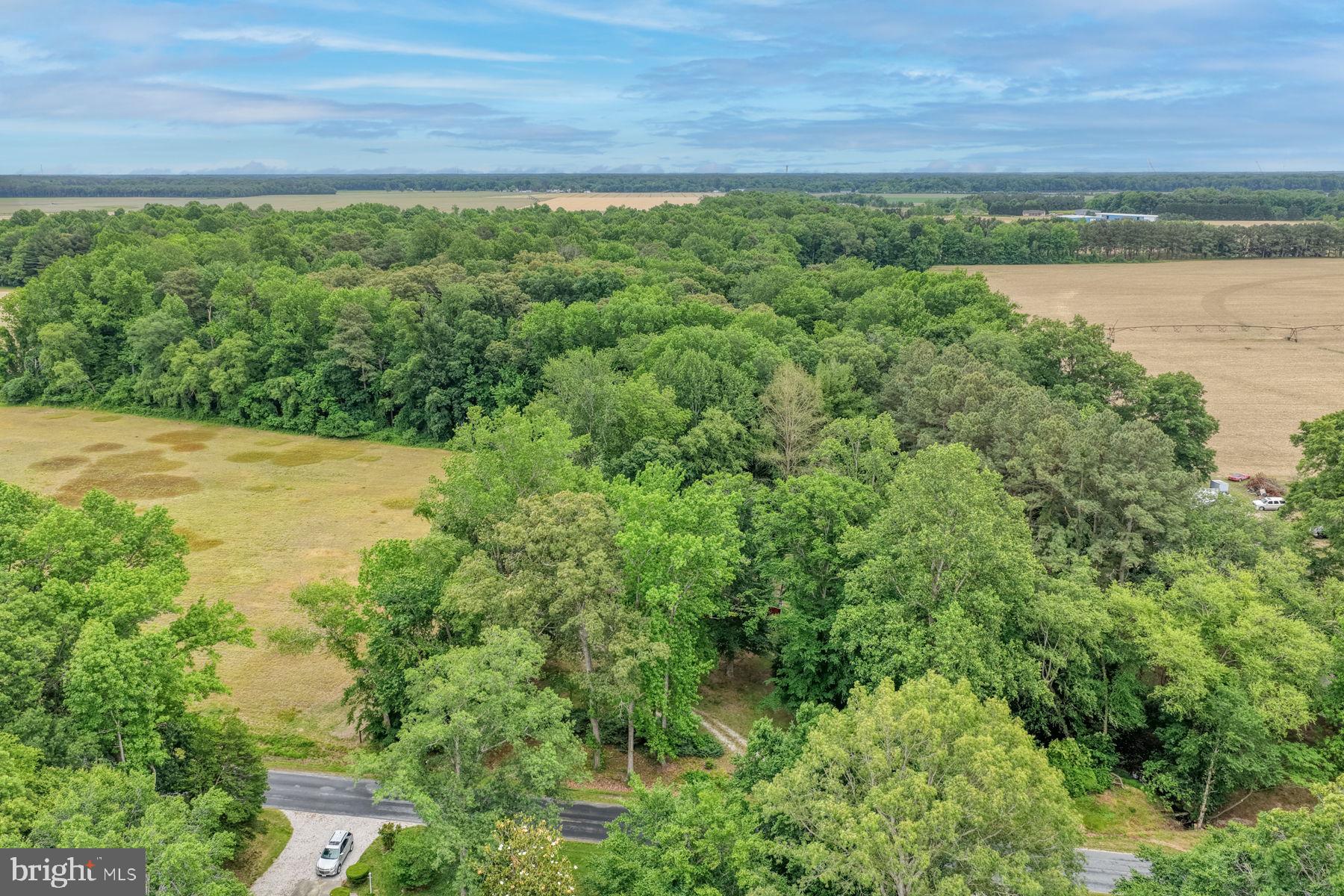 3675 Seaman Road Preston, MD 21655 - Photo 37 of 41