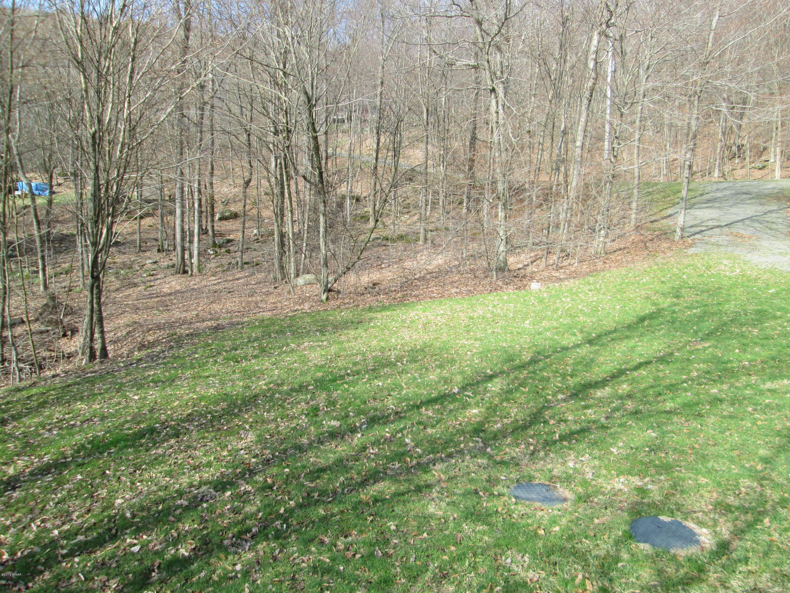 79 Wilderness Road Starrucca, PA 18462 - Photo 5 of 18 IMG_2044