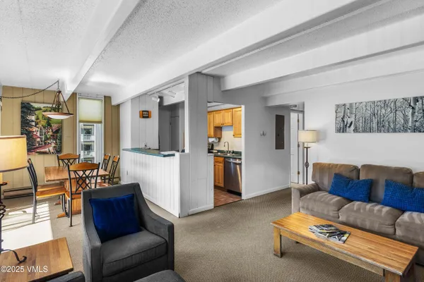 $9,000 | 508 East Lionshead Circle, Unit 116/WEEKS 23 & 38, Vail, CO 81657