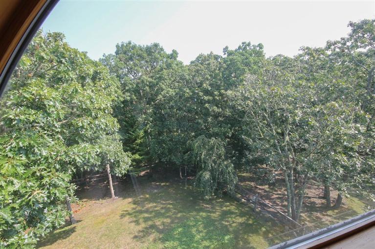 73 Pennywise Path Edgartown, MA 02539 - Photo 26 of 26 a view of a forest with a bench