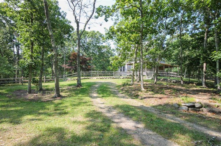 73 Pennywise Path Edgartown, MA 02539 - Photo 4 of 26 a view of a tree in a yard