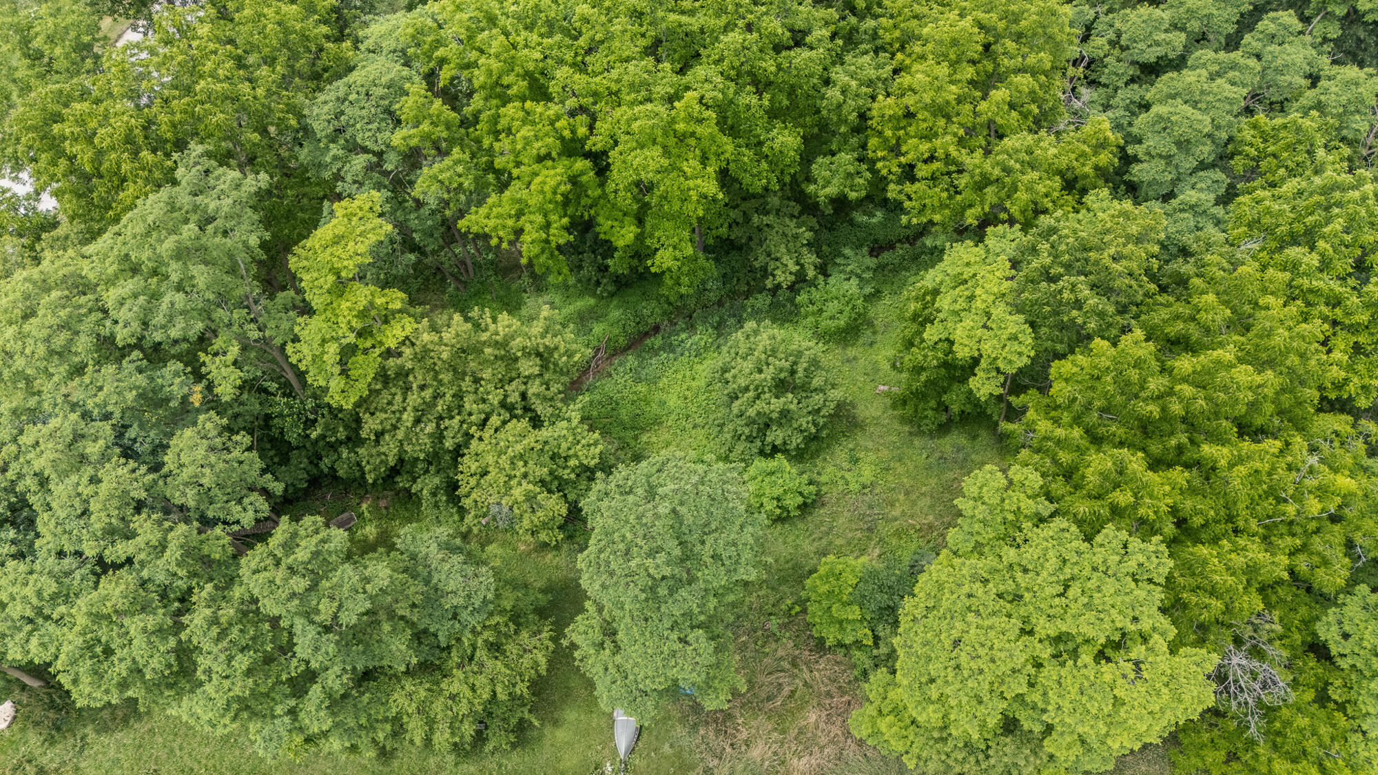 0 Bluff Siding Road Fountain City, WI 54629 - Photo 15 of 15 wooded