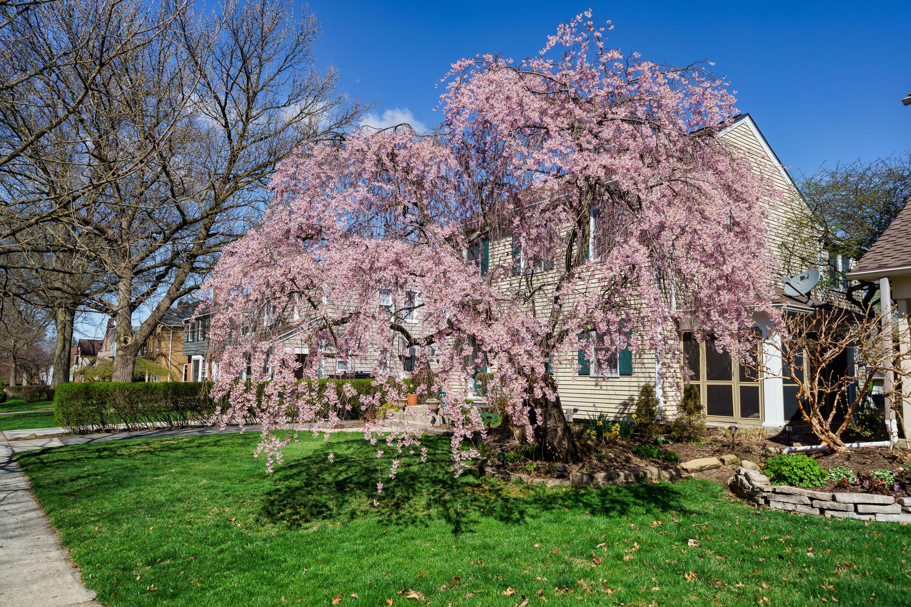 426 Arden Road Columbus, OH 43214 - Photo 3 of 13 Gallery Image 3