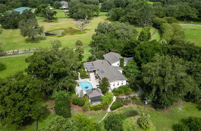 a huge green field with lots of trees