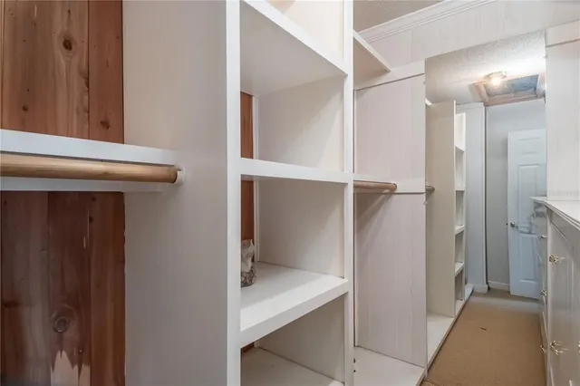 a view of park with bench and trees around