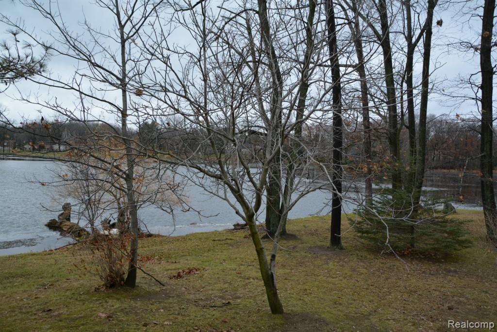 335 Coats Road Lake Orion, MI 48362 - Photo 21 of 48 335 Coats Rd Lake Orion (35).jpg