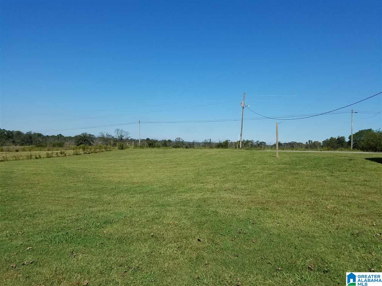 1042 Mt Carmel Road Altoona, AL 35952 - Photo 4 of 11
