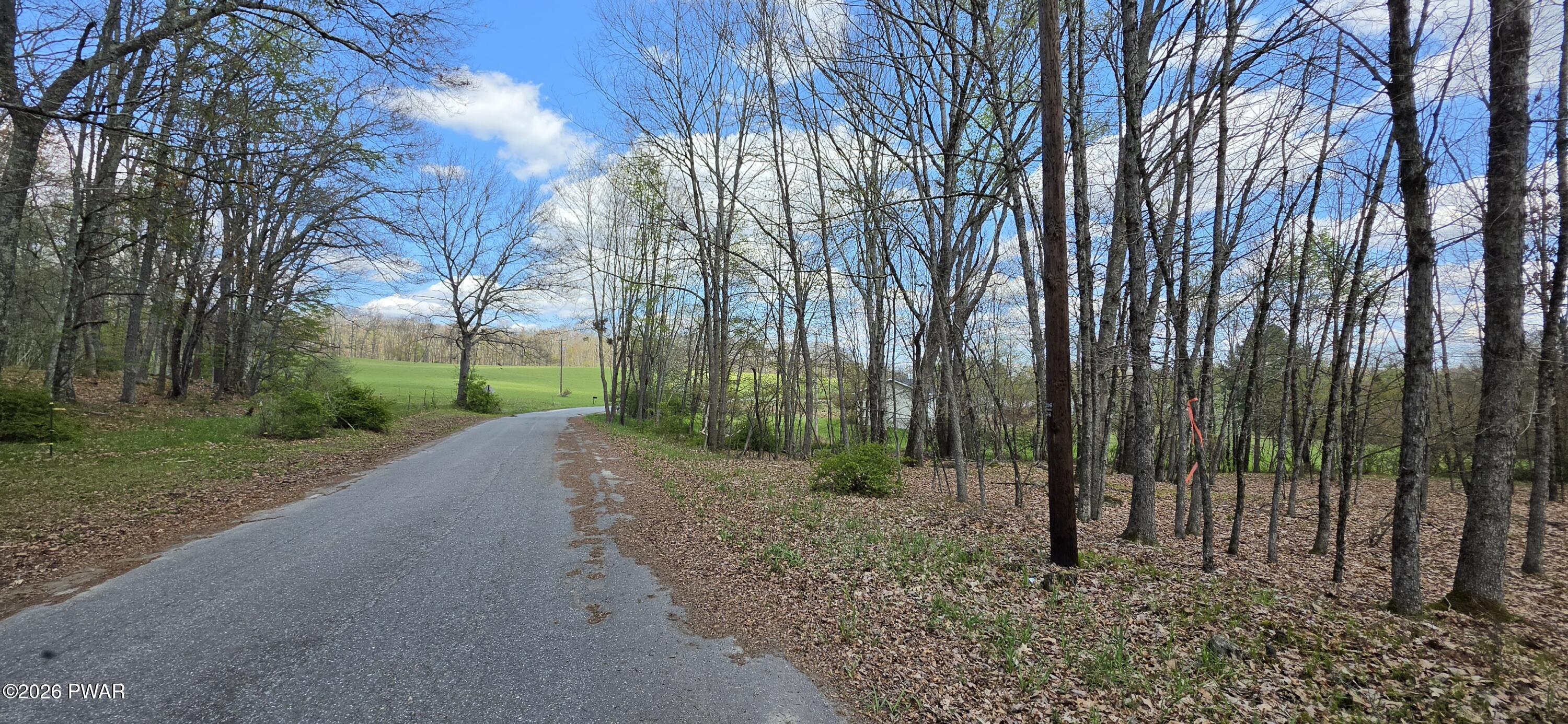 Lot 17.14 Skipperene Road Narrowsburg, NY 12764 - Photo 14 of 15