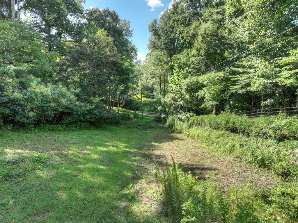 354 Circle Drive Blue Ridge, GA 30513 - Photo 10 of 41 Gallery Image 10