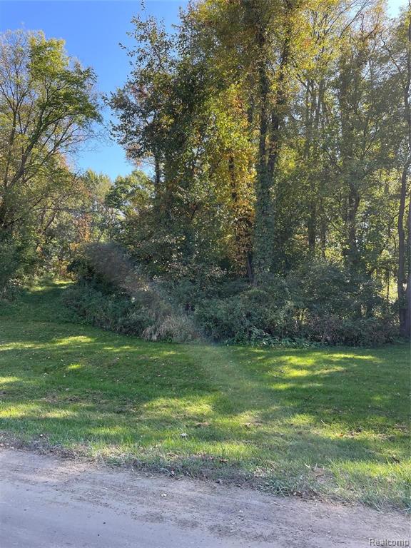 38 Walsh Road Whitmore Lake, MI 48189 - Photo 2 of 6 Gallery Image 2
