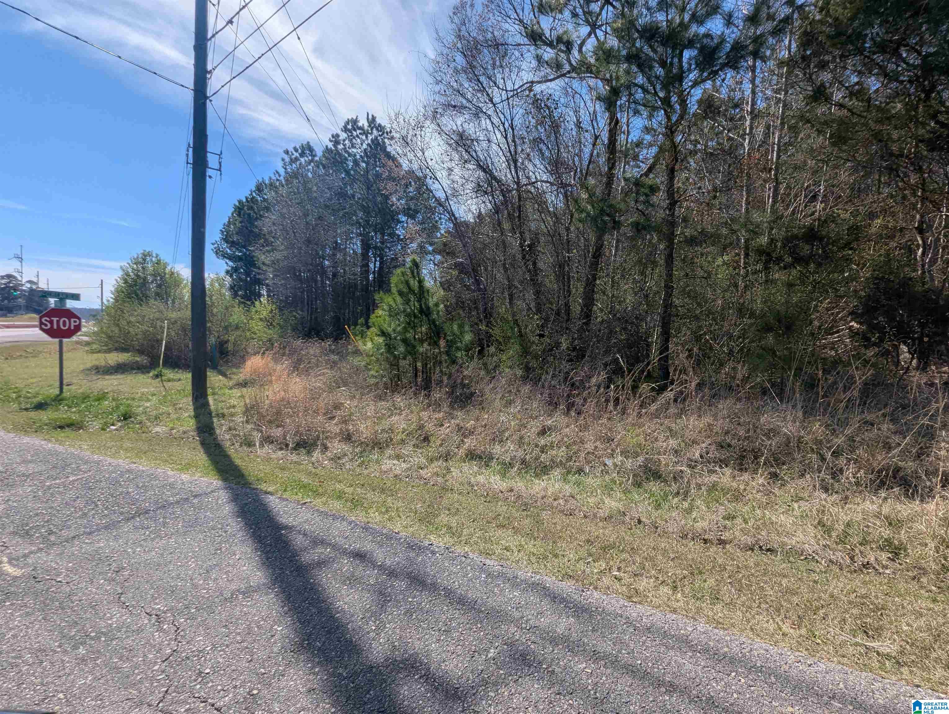 0 Spiral Street, Unit 2 Anniston, AL 36201 - Photo 2 of 15