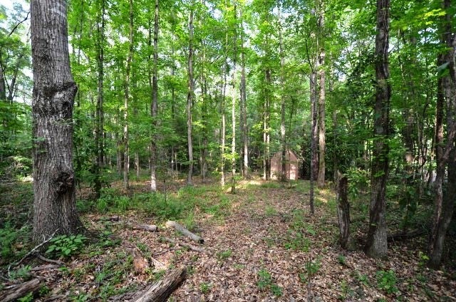 0 Deer Run Road Auburn, AL 36832 - Photo 4 of 9 Gallery Image 4