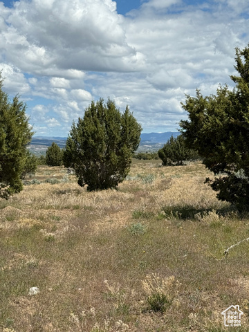St, Unit 17 Spring City, UT 84662 - Photo 8 of 10 View of undeveloped land