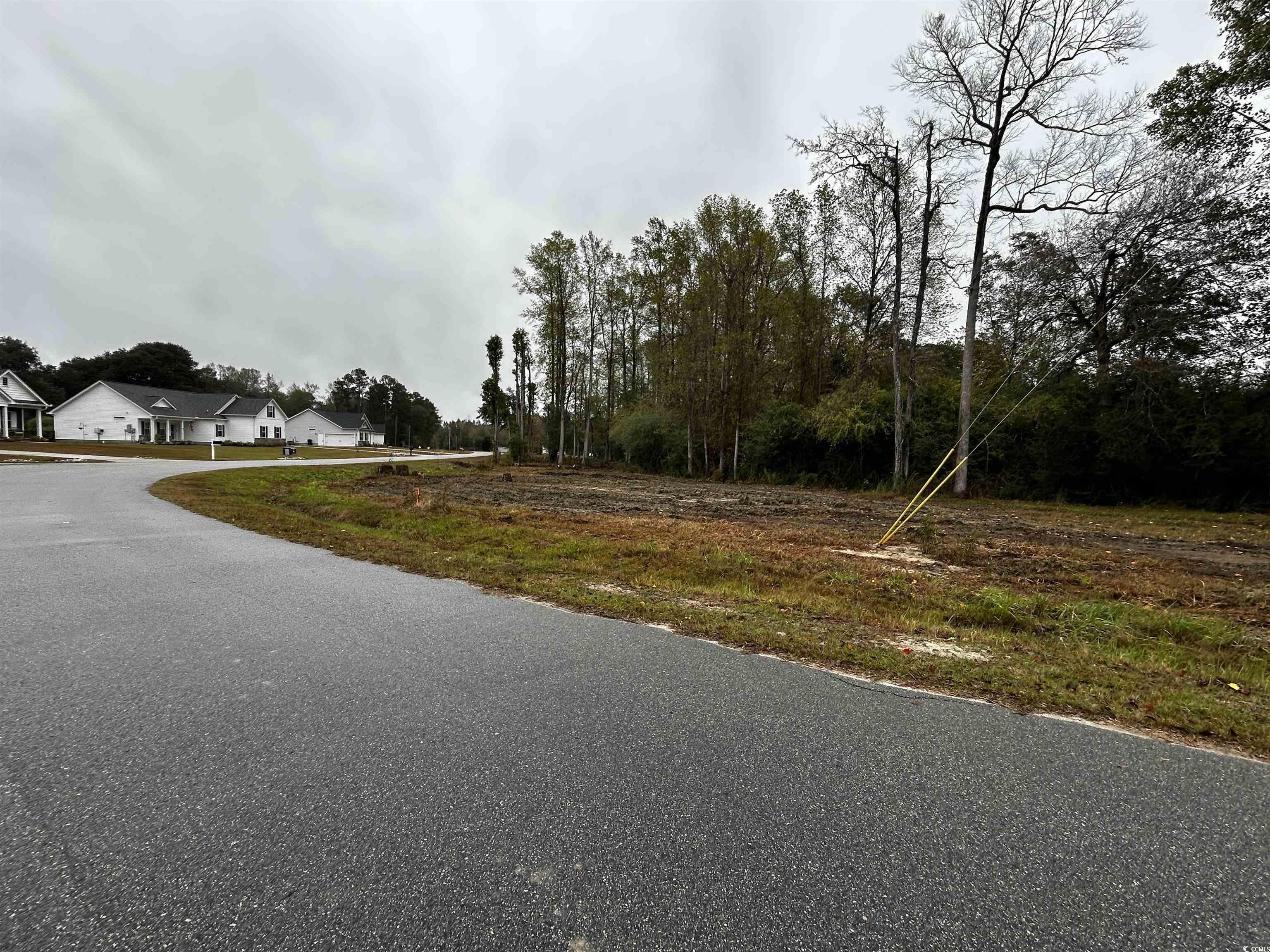 Tbd Ole Maple Street Loris, SC 29569 - Photo 3 of 9