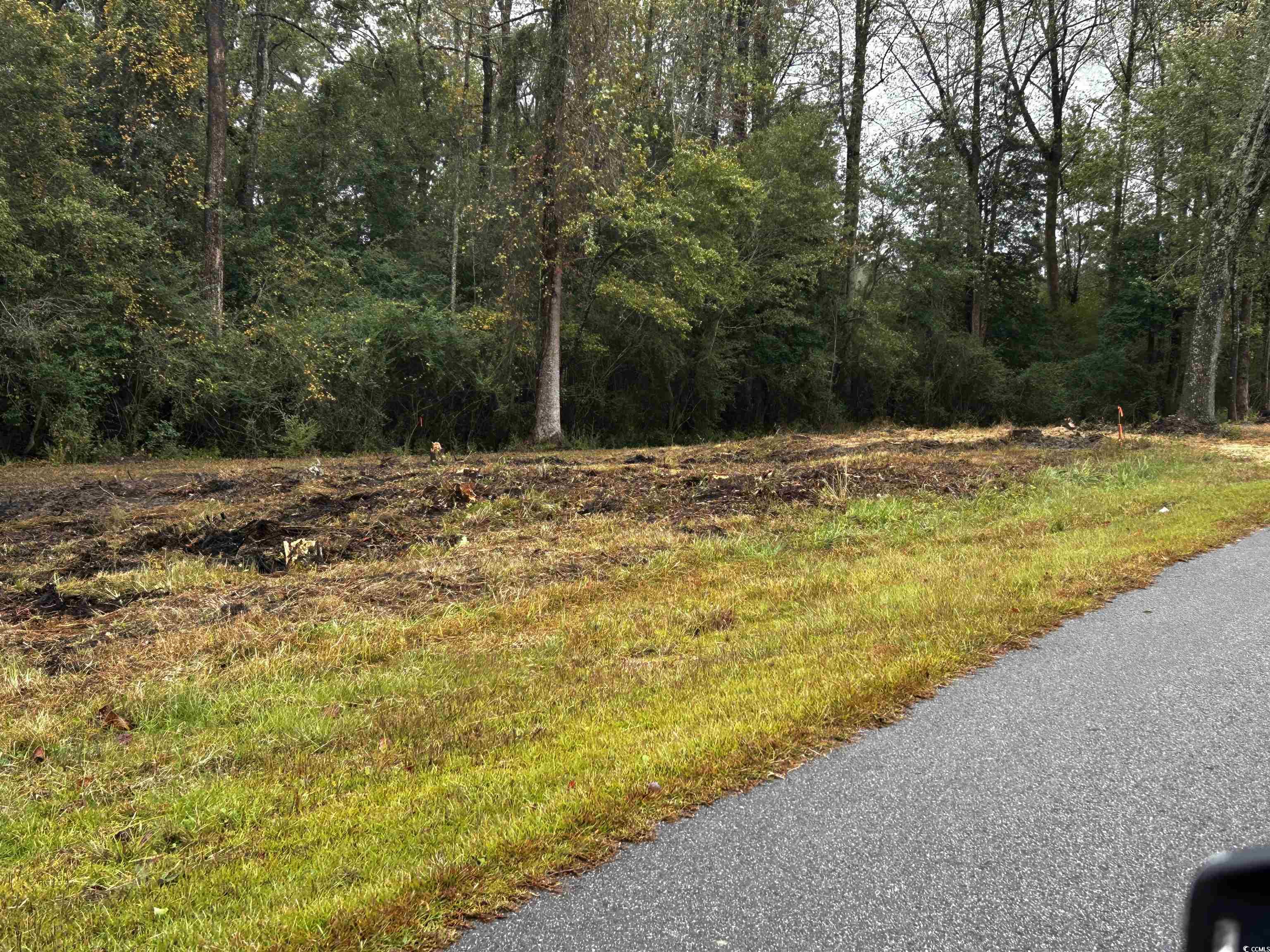 Tbd Ole Maple Street Loris, SC 29569 - Photo 5 of 9