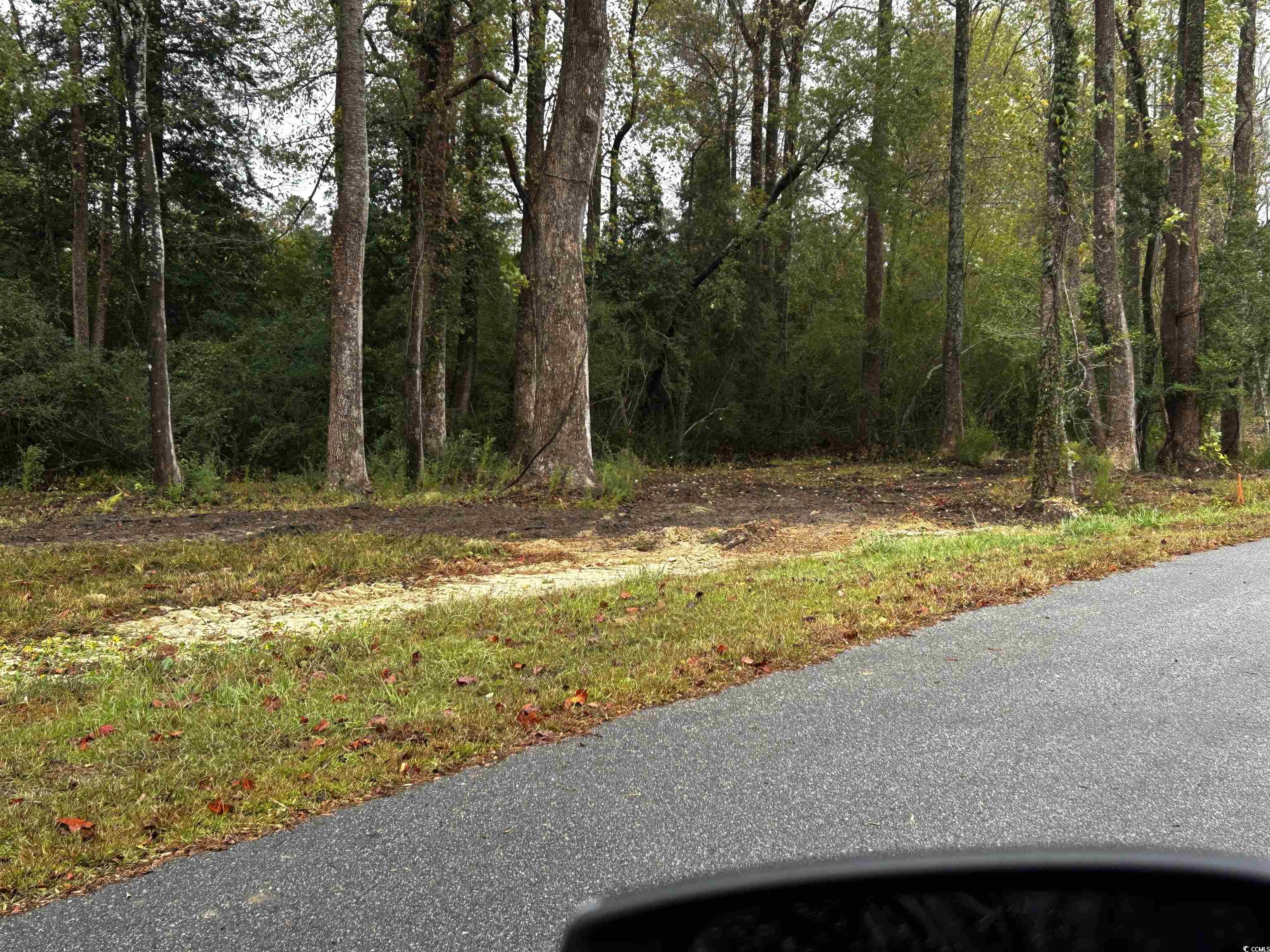 Tbd Ole Maple Street Loris, SC 29569 - Photo 6 of 9