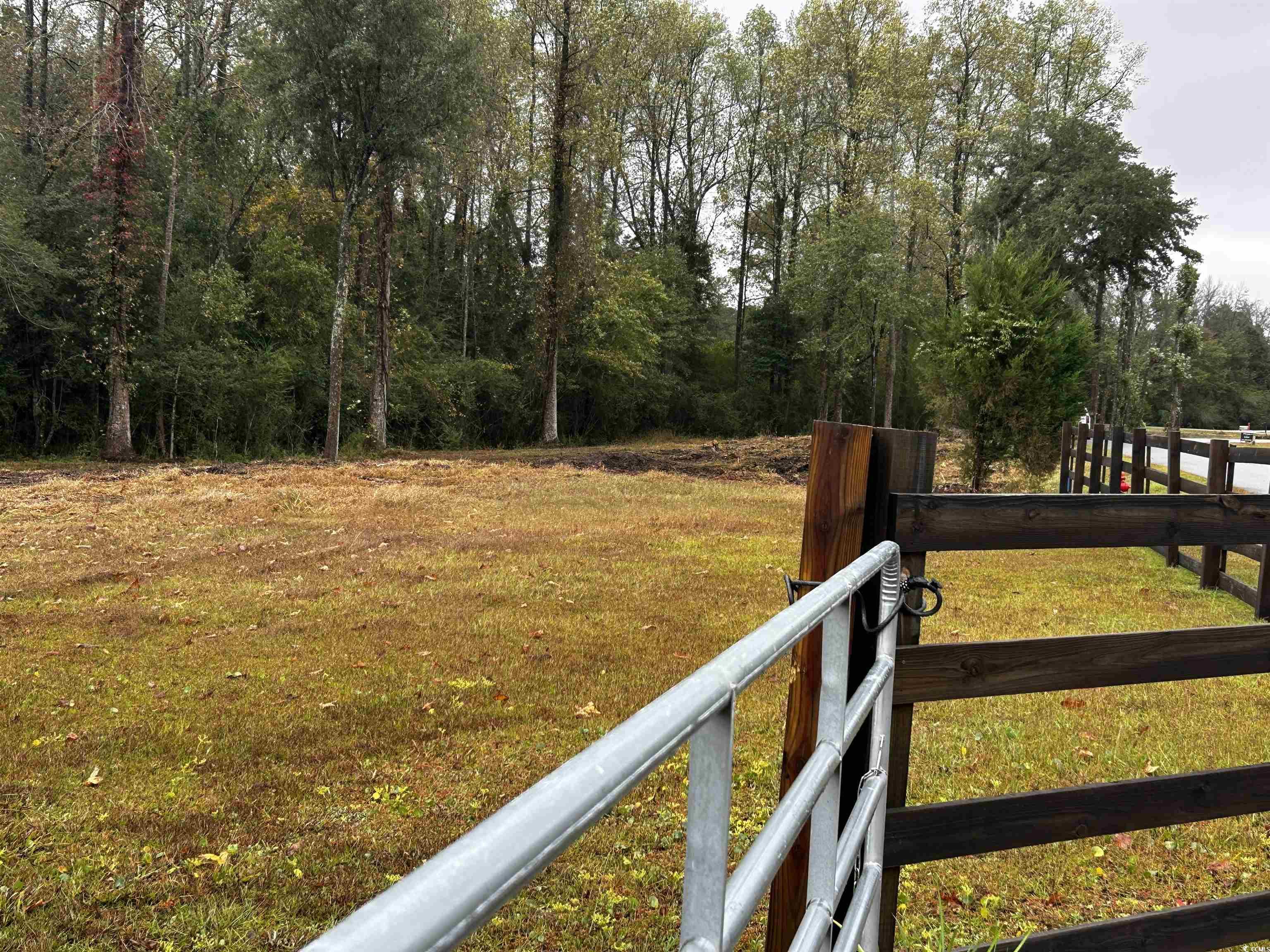 Tbd Ole Maple Street Loris, SC 29569 - Photo 9 of 9